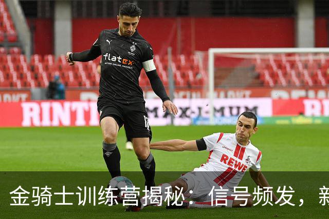 金骑士训练营揭秘：信号频发，新星闪耀前景光明！